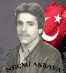 Acı Kayıplarımız